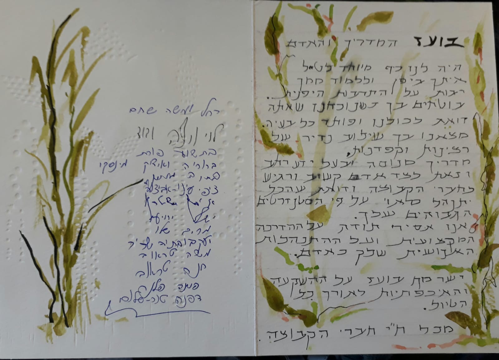 בועז כהן, יפן 3/19