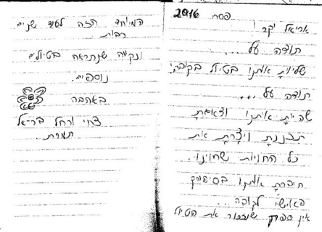 אריאל כהן, קובה 4.2016