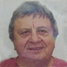 המדריכים שלנו - מסעות
