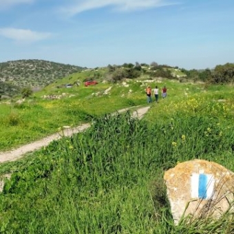 טיולים לאוהבי לכת בישראל